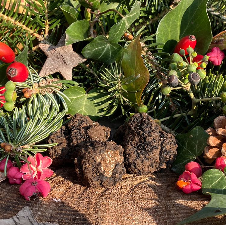 tartufo nero