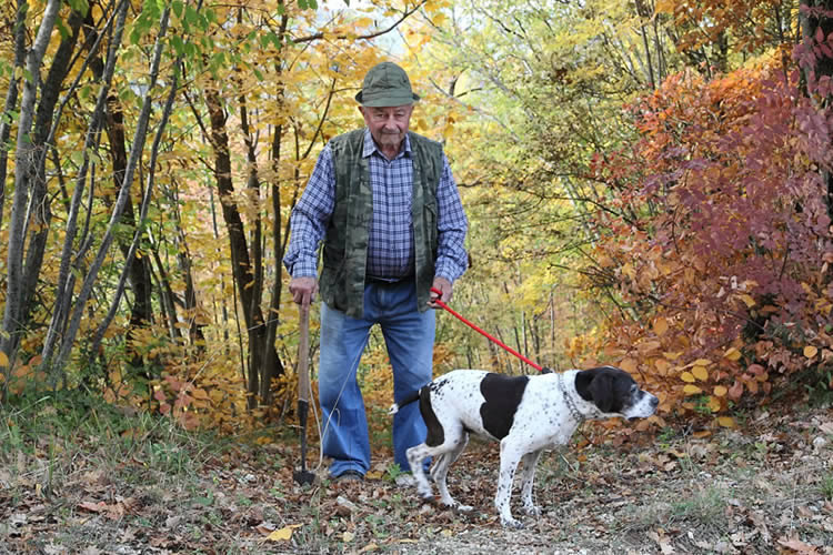 a tartufi con il cane