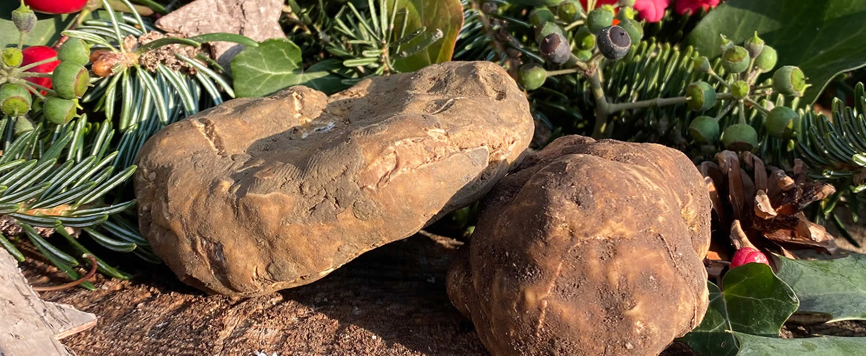 natale con prodotti al tartufo